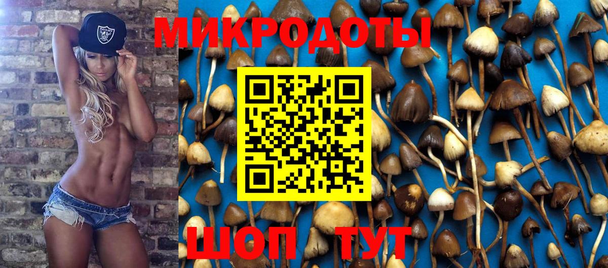 Коммунар  Галлюциногенные грибы Psilocybine cubensis  Вход с VPN  Галлюциногенные грибы прущие грибы 